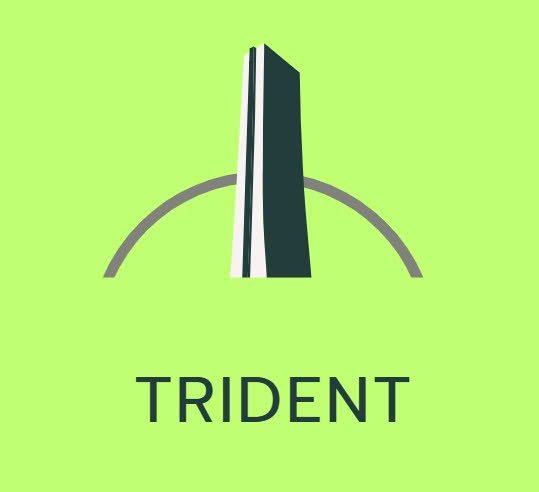 trident.cargoloopllc.com